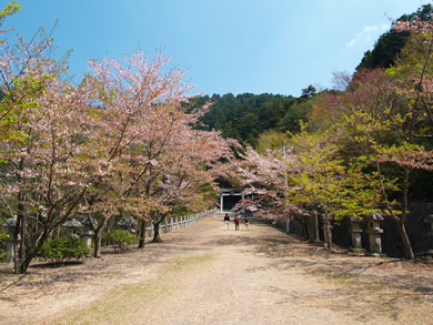 参道