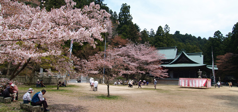 神社境内