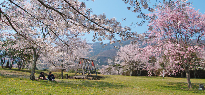 丸山公園