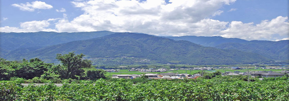 山裾に広がる平原にある住みよい家