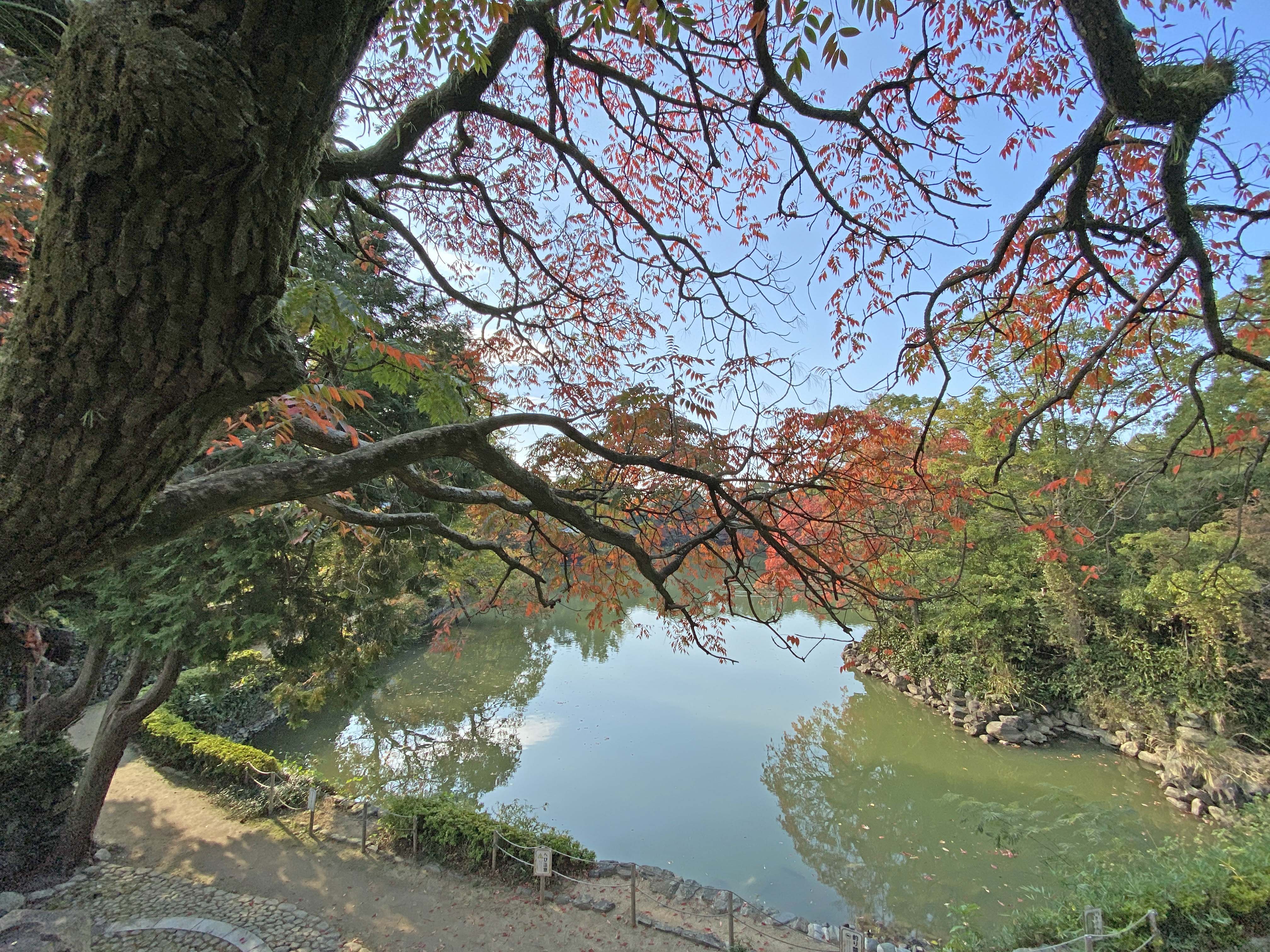 広瀬家庭園内の大きなため池