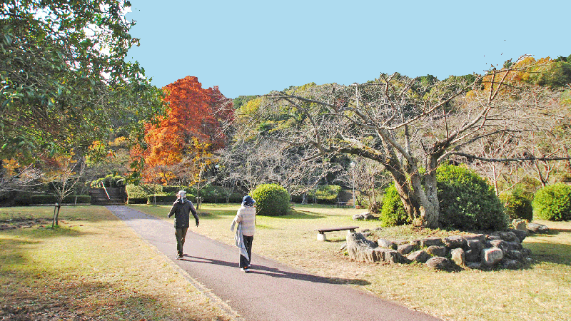 滝の宮公園