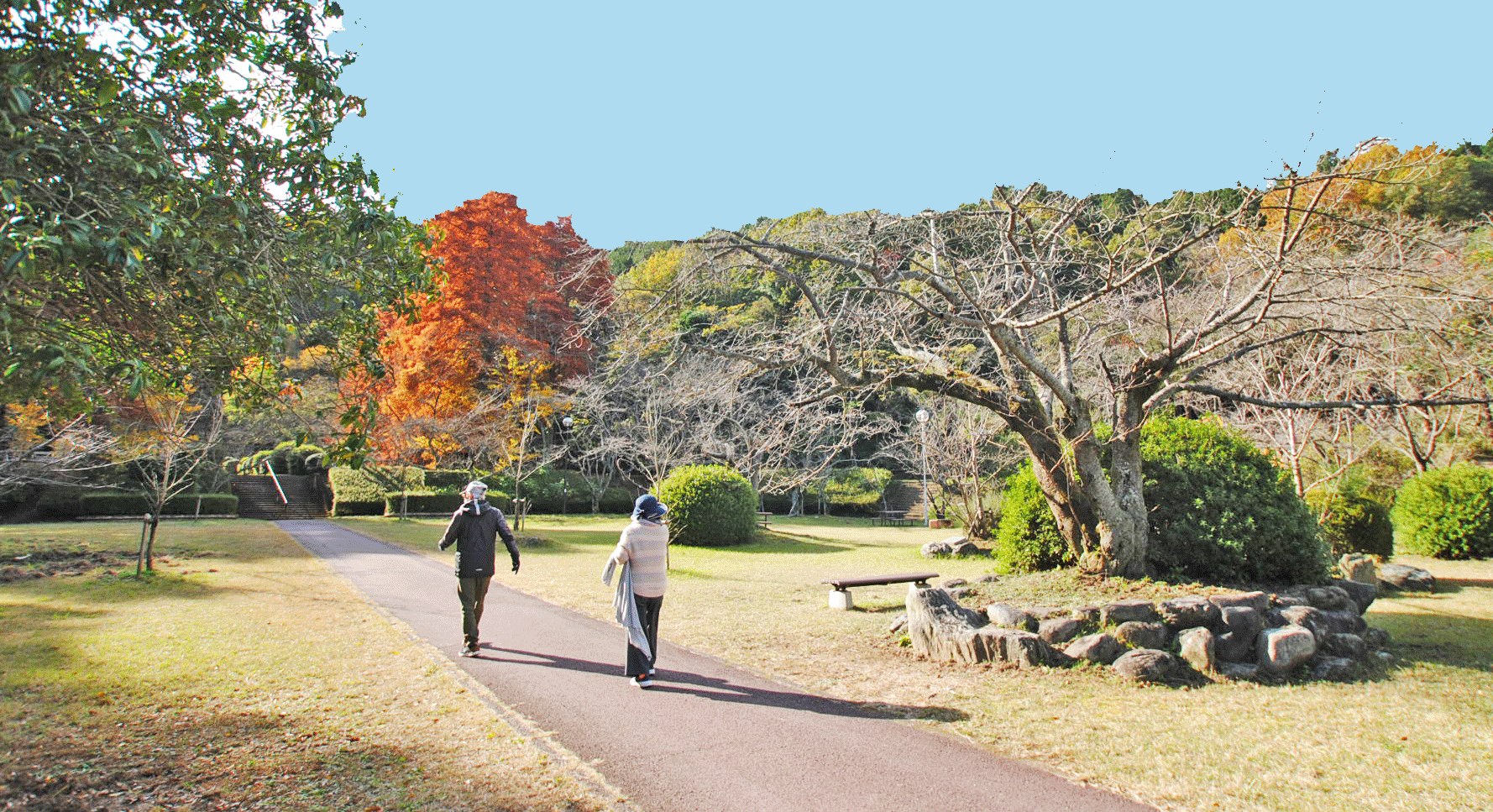 滝の宮公園で散策する人