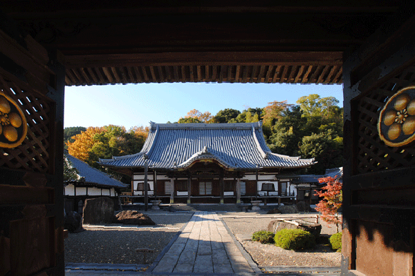 真光寺本堂を正門越しに見た写真