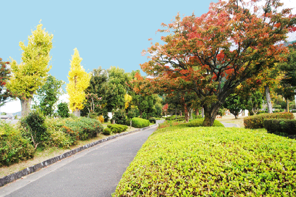 山根公園内の遊歩道