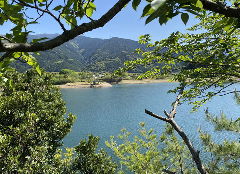 新居浜市の池田池