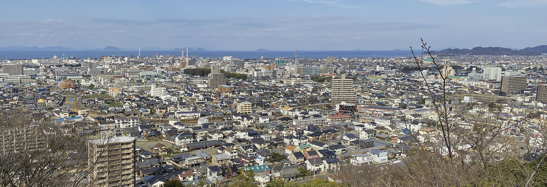 新居浜市の全景